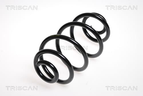 Spiralfjäder bak från TRISCAN