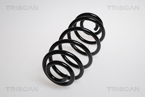 Spiralfjäder bak från TRISCAN