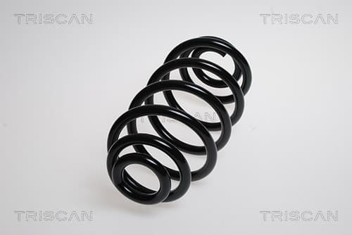 Spiralfjäder bak från TRISCAN