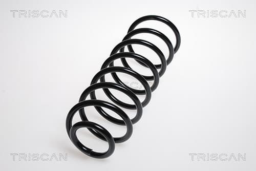 Spiralfjäder bak från TRISCAN