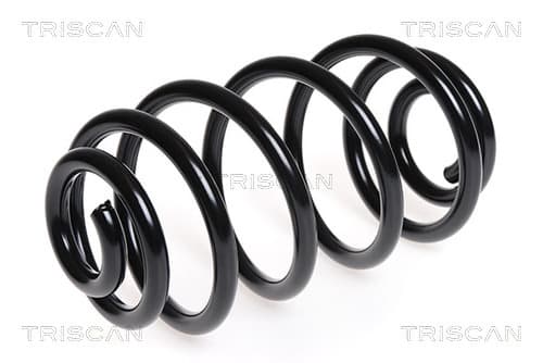 Spiralfjäder bak från TRISCAN