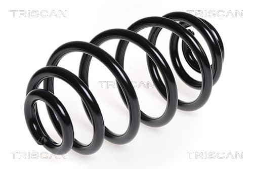 Spiralfjäder bak från TRISCAN
