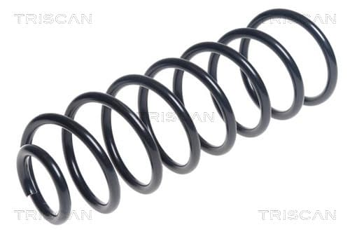 Spiralfjäder bak från TRISCAN