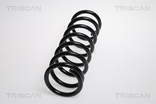 Spiralfjäder bak