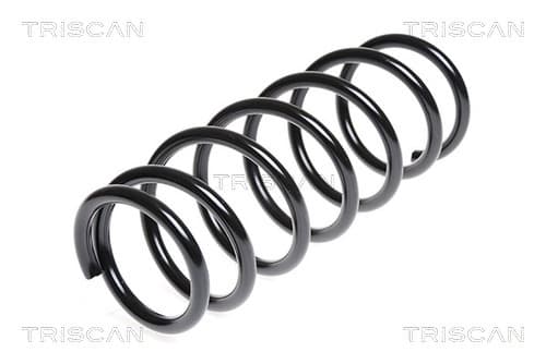 Spiralfjäder bak från TRISCAN