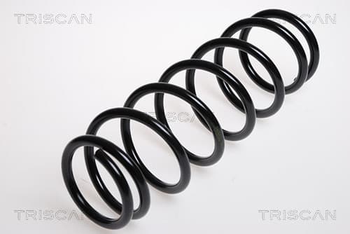 Spiralfjäder fram från TRISCAN