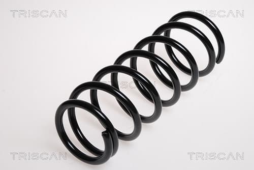 Spiralfjäder bak från TRISCAN