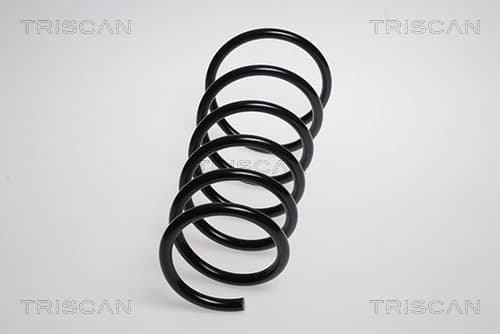 Spiralfjäder fram från TRISCAN