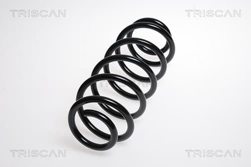 Spiralfjäder bak från TRISCAN