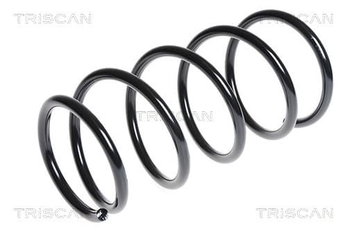 Spiralfjäder bak från TRISCAN