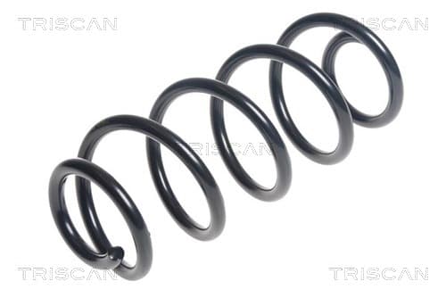 Spiralfjäder bak från TRISCAN