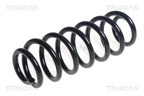 Spiralfjäder bak från TRISCAN