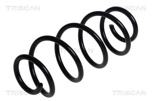 Spiralfjäder bak från TRISCAN