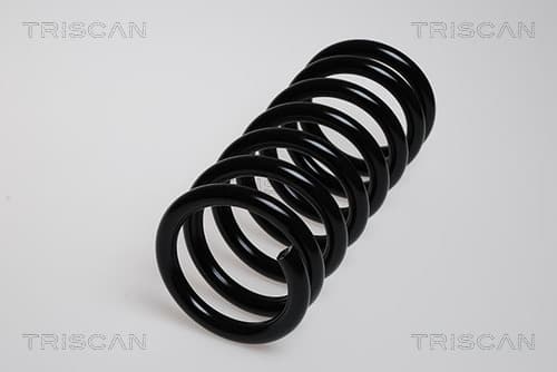 Spiralfjäder fram