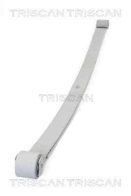 Bladfjäder bak från TRISCAN
