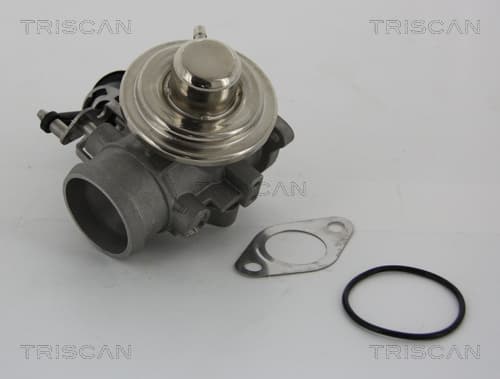 EGR-ventil från TRISCAN