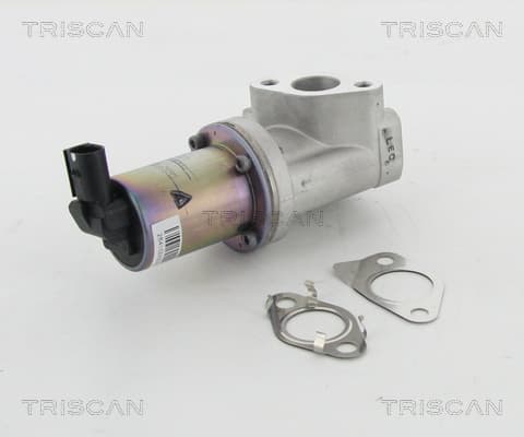 EGR-ventil från TRISCAN