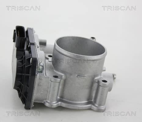 Gasreglage från TRISCAN