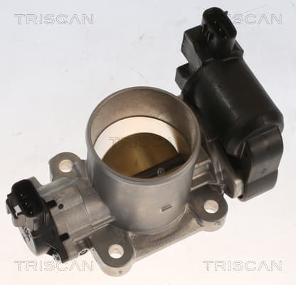 Gasreglage från TRISCAN
