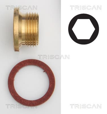 Oljeplugg från TRISCAN