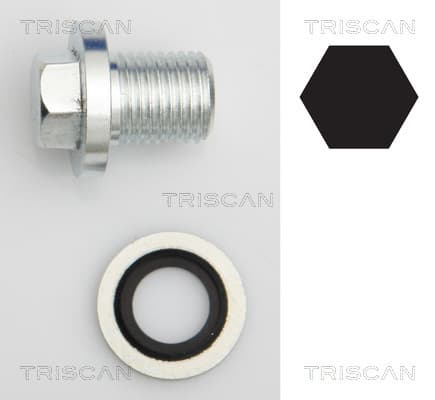 Oljeplugg från TRISCAN
