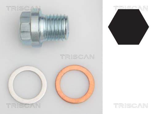 Oljeplugg från TRISCAN