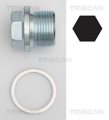 Oljeplugg från TRISCAN