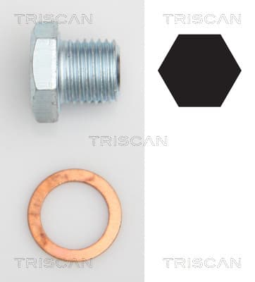 Oljedränerings plugg från TRISCAN