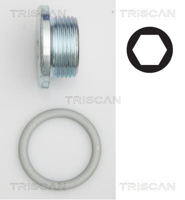 Oljeplugg från TRISCAN