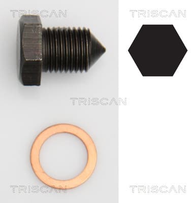 Oljeplugg från TRISCAN