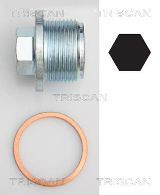 Oljeplugg från TRISCAN