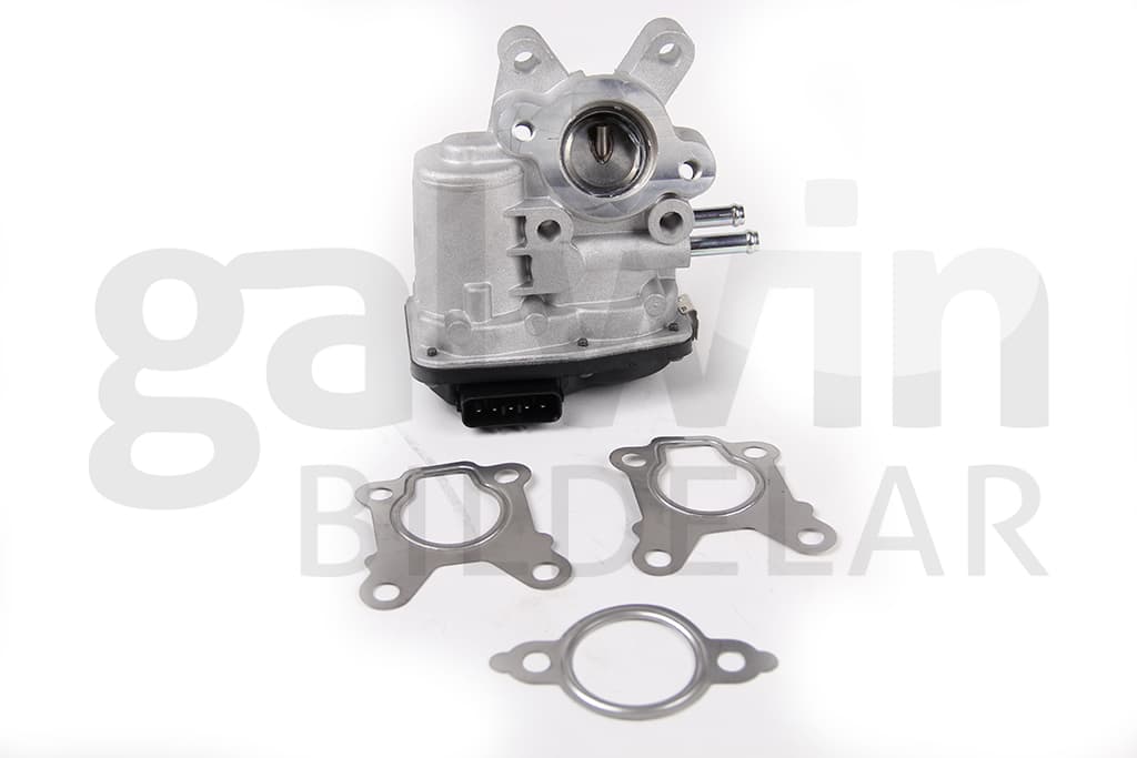 EGR Ventil, Nissan